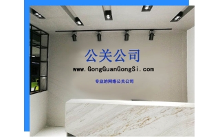 公关公司（gongguanggongsi.com）成功策划某公司市场营销方案